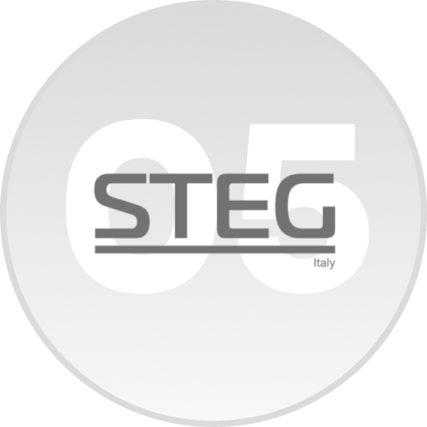 台中汽車音響-STEG-LOGO
